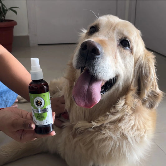 Fleas & Tick Removal Spray (100 ml)
